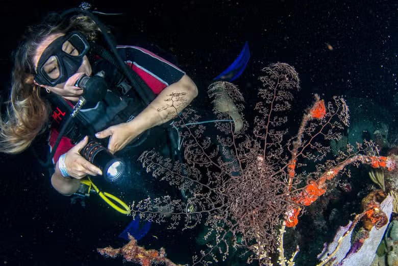 Buceo nocturno en Cancún - photo 7