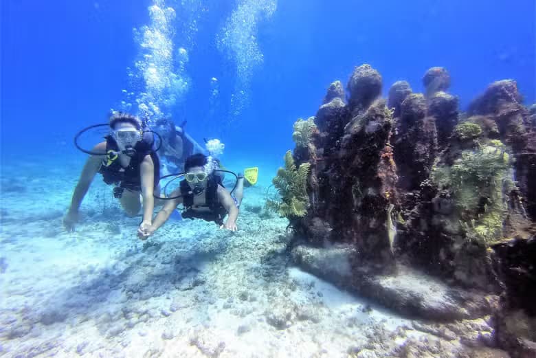 Buceo en el MUSA - photo 3