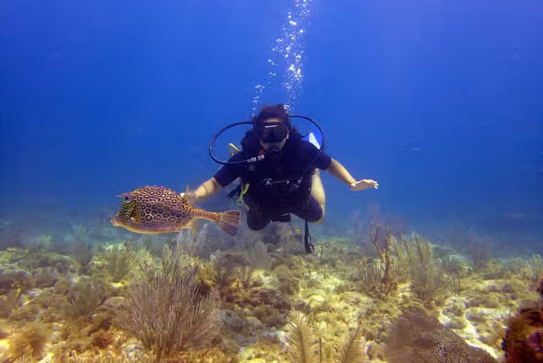 Buceo en el MUSA - photo 5