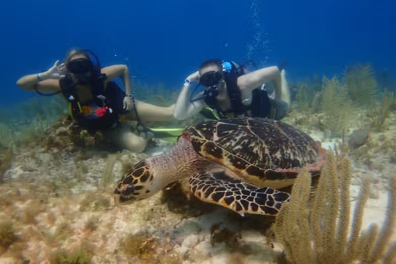 Buceo en el MUSA - photo 6