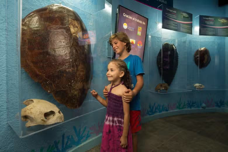 Entrada al Acuario Interactivo de Cancún - photo 3