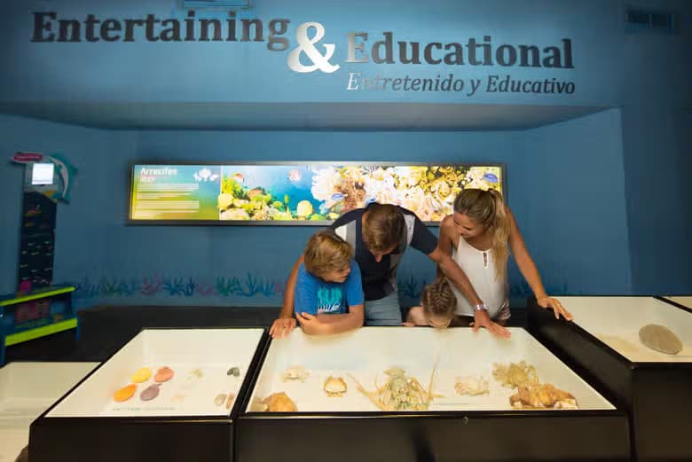 Entrada al Acuario Interactivo de Cancún - photo 4