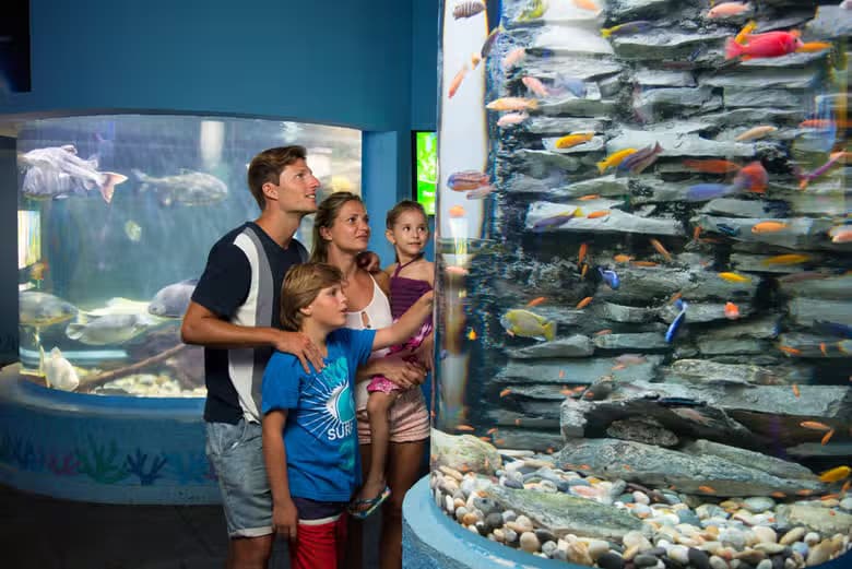 Entrada al Acuario Interactivo de Cancún - photo 8