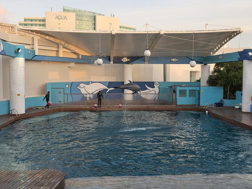 Entrada al Acuario Interactivo de Cancún - photo 11