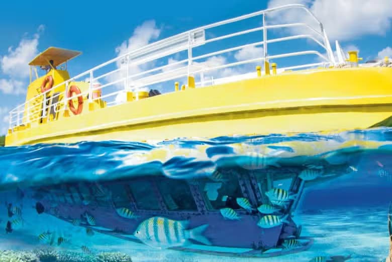 Paseo en barco con fondo de cristal - photo 3