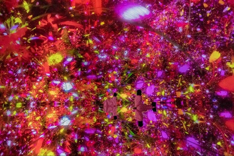 TeamLab Planets Tokyo Tickets - photo 7
