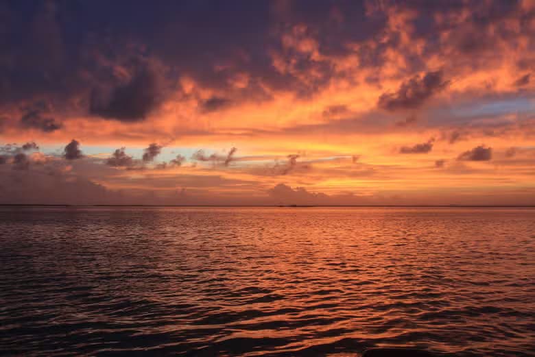 Crucero con cena en galeón al atardecer - photo 6
