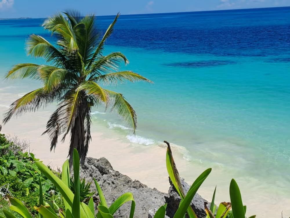 Oferta: Chichén Itzá + Tulum en 2 días - photo 11