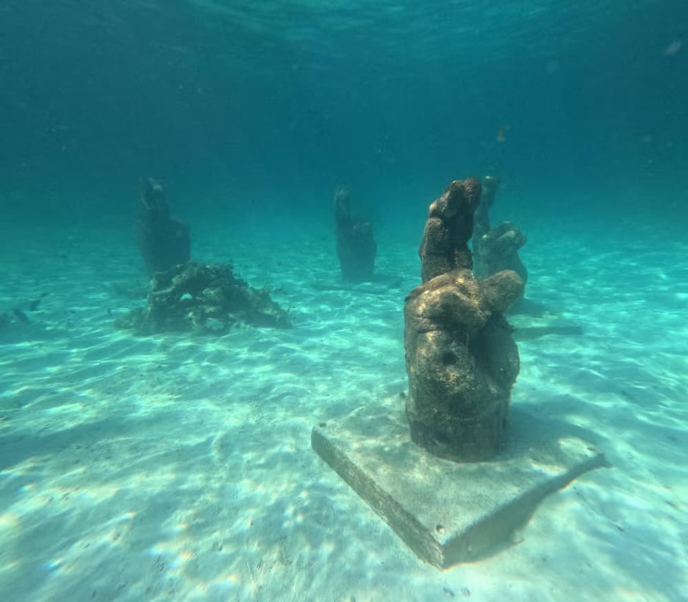 Snorkel en Cancún - photo 11