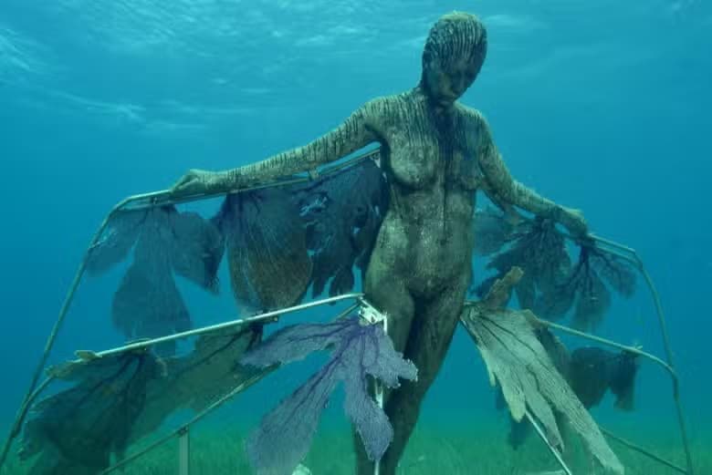 Snorkel en el MUSA - photo 3