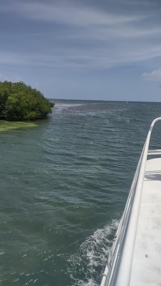 Snorkel en el MUSA - photo 9