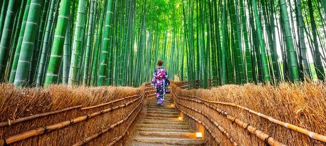 Nara, Kinkakuji & Arashiyama Day Trip - photo 2