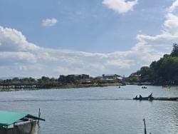 Nara, Kinkakuji & Arashiyama Day Trip - photo 17