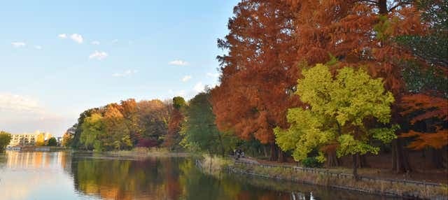 Shakujii Park Guided Tour - photo 2